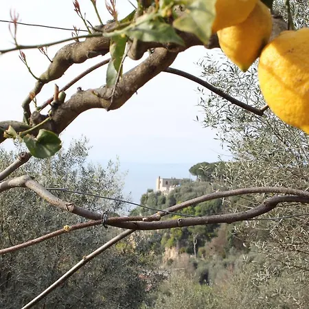 Holiday home Casa Uliveto Sorrento