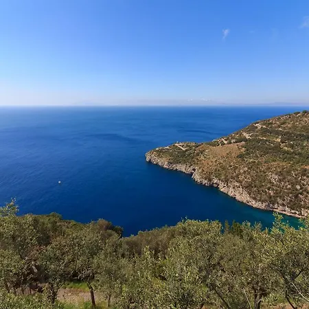 Holiday home Casa Uliveto Sorrento