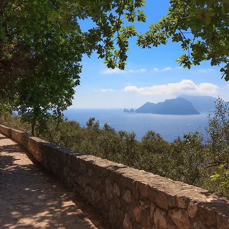 Holiday home Casa Uliveto Sorrento
